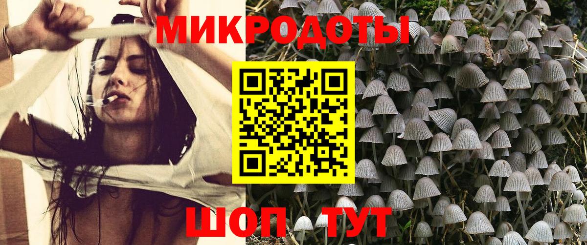 Галлюциногенные грибы Psilocybine cubensis  Вход с VPN  Псилоцибиновые грибы MAGIC MUSHROOMS  Шелехов 